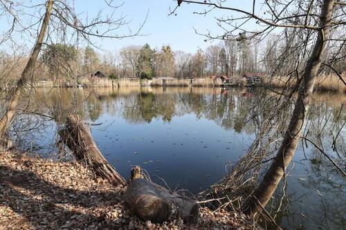 eigener Anliegersee - 1 Zimmer Bungalow zum Kaufen in Eberswalde