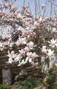 Bild 21 - 