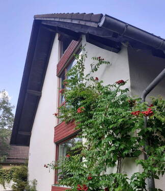 Bild 4 - Einfamilienhaus mit 202,00 m² in Egmating zum Kaufen