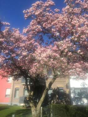 Front mit historischem Element - 3 Zimmer Etagenwohnung zum Kaufen in Kaarst