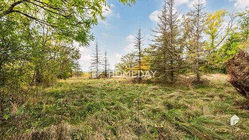 Garten 2 - 