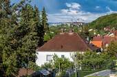 Blick auf die Marienburg - 