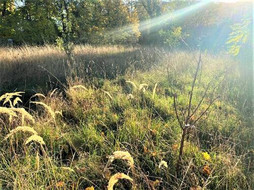 Verwirklichen Sie Ihr Traumhaus - Grundstück zum Kaufen in Leipzig