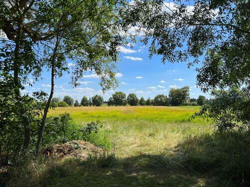 Feld hinter dem Anwesen - 