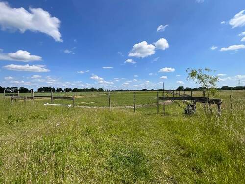 Eigentumsgrundstück - Reitfläche 2 - 8 Zimmer Einfamilienhaus zum Kaufen in Edemissen