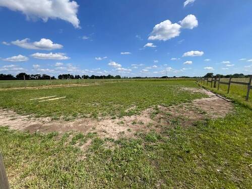 Eigentumsgrundstück - Reitfläche - 8 Zimmer Einfamilienhaus in Edemissen