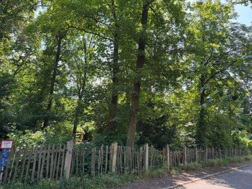 Grundstücksansicht - 