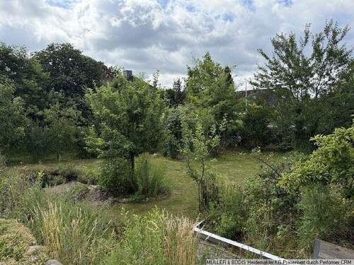 Blick in den Garten - 5 Zimmer Einfamilienhaus zum Kaufen in Egestorf
