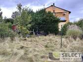 Blick in Garten - 