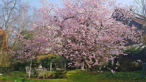 Garten - 