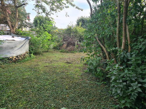 Bild 10 - 