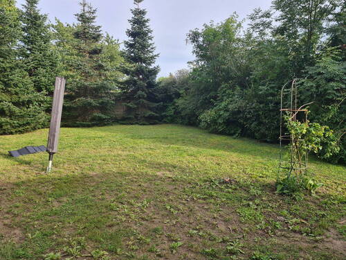 Bild 11 - 