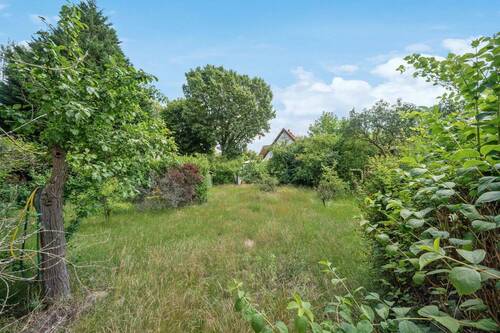 Hinterer Grundstücksbereich - 