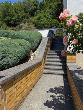 IMG_3038 - 8 Zimmer Einfamilienhaus zum Kaufen in Reipoltskirchen