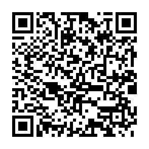 QR-Code - 