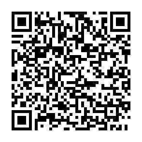 QR-Code - 