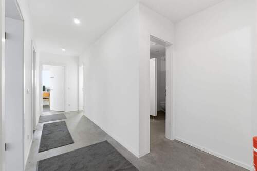 Alexander Immobilien - 