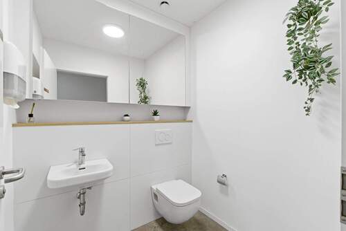 Alexander Immobilien - 