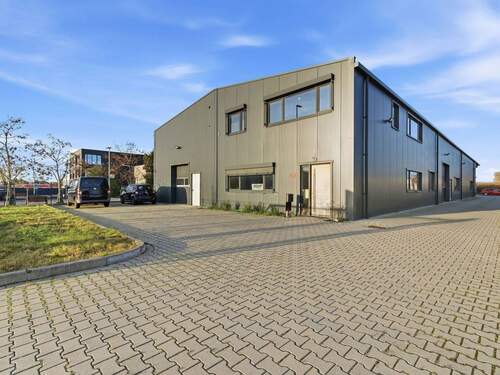 Alexander Immobilien - 