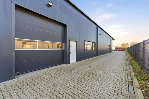 Alexander Immobilien - 