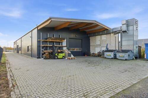 Alexander Immobilien - 