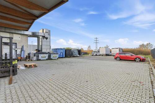 Alexander Immobilien - 