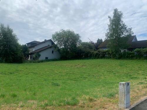 Grundstück - Grundstück zum Kaufen in Leupoldsgrün