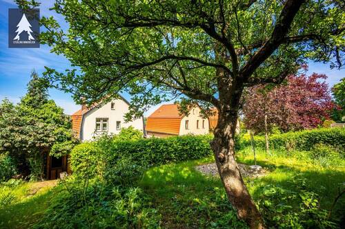 Blick vom Grundstück zum Haus - 5 Zimmer Einfamilienhaus zum Kaufen in Gernrode