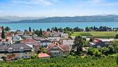 See- und Bergsicht - See- und Bergsicht - Imposante Wohnung am Bodensee