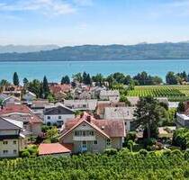 Tolle Berg- und Seesicht - Imposante Wohnung am Bodensee - Wasserburg (Bodensee) / Hege