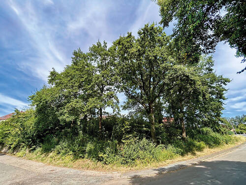 Bild 2 - Grundstück zum Kaufen in Höchstadt / Etzelskirchen