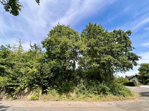 Bild 3 - Grundstück in Höchstadt / Etzelskirchen