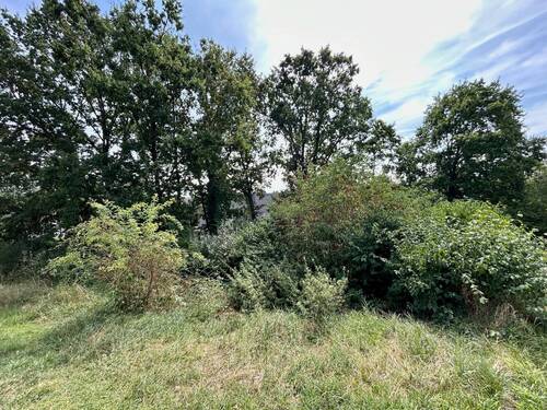 Bild 4 - Grundstück in Höchstadt / Etzelskirchen zum Kaufen