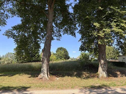 Bild 2 - Grundstück zum Kaufen in Badow