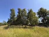 Bild 7 - 