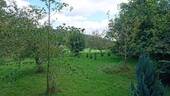 5_Garten - 