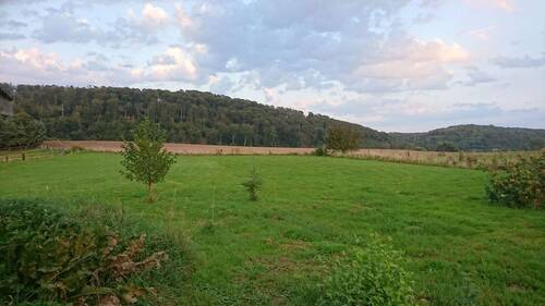 6_Wiese - 