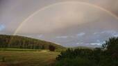 7_Wiese_Regenbogen - 