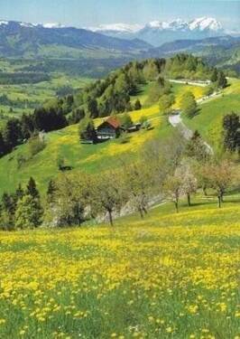 Die Queralpenstraße - Richtung Weiler - 