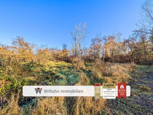 Aussicht 1 - Naturnahes Waldareal mit Zukunft - ca. 61.204 m² zusammenhängende Forstfläche in Borna