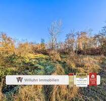 Naturnahes Waldareal mit Zukunft - ca. 61.204 m² zusammenhängende Forstfläche in Borna