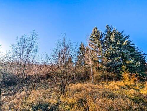 Aussicht 4 - Einfamilienhaus in Borna zum Kaufen