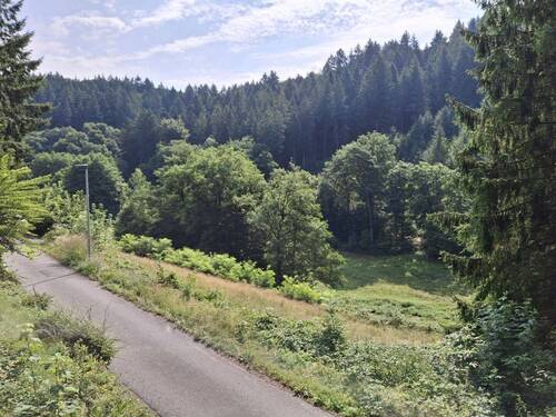Ausblick.jpg - 4 Zimmer Einfamilienhaus in Schriesheim