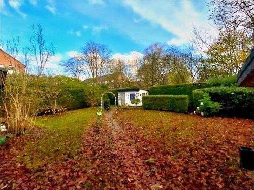 Im naturnahen Garten dienen Hecken als Sichtschutz - 