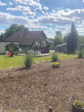 Blick in den Garten - 