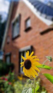 Außenbild - 3 Zimmer Einfamilienhaus zum Kaufen in Ratekau / Kreuzkamp