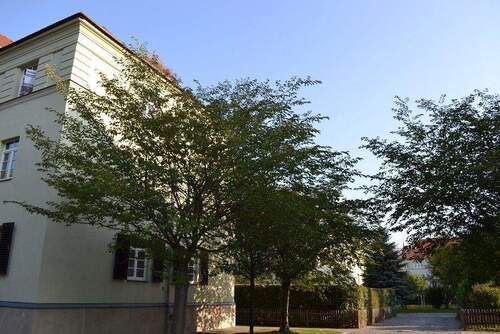 sa.39.2.og.li (3).JPG - 2 Zimmer Etagenwohnung zur Miete in Dresden