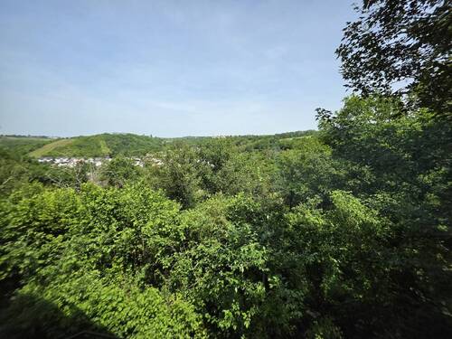 mit herrlichem Blick in den eigenen Wald - 