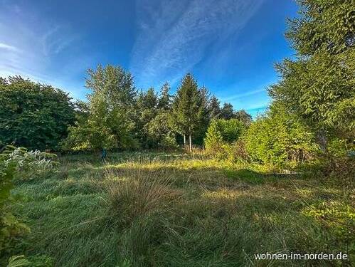 Bild 1 - Kiel Schlüsbek: Großes Baugrundstück für drei bis vier Einfamilienhäuser in Dorflage zu verkaufen