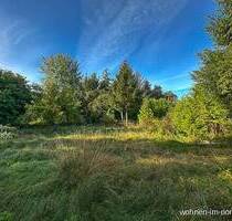 Kiel Schlüsbek: Großes Baugrundstück für drei bis vier Einfamilienhäuser in Dorflage zu verkaufen - Kiel / Schlüsbek
